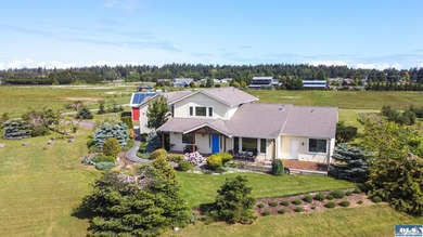 Incredible, sweeping Olympic Mountain Views from this home on - photo 48