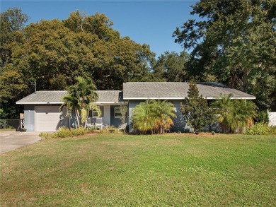 Lake Dora Home For Sale in Mount Dora Florida