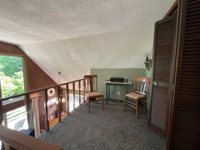 Raccoon Lake, Lakefront, Lakeview, Chalet - photo 23
