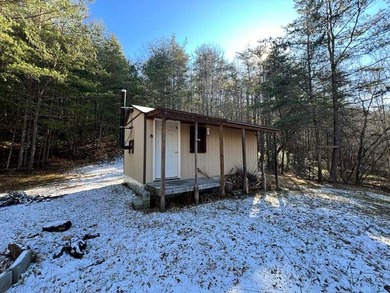 (private lake, pond, coastal) Acreage For Sale in Bastian Virginia