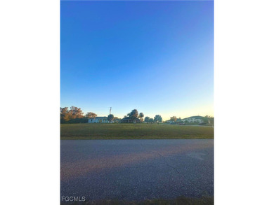 Beautiful Oversized Triple-Corner Lot! This cleared, spacious - photo 4