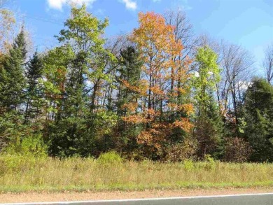 Lake Acreage For Sale in Merrill, Wisconsin