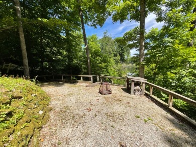Raccoon Lake, Lakefront, Lakeview, Chalet - photo 8