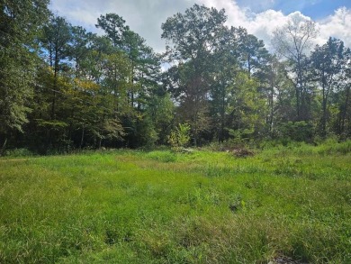 Lake Home For Sale in Huntington, Texas