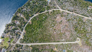 Situated on sought-after Pleasant Island Road, this 13-acre - photo 11
