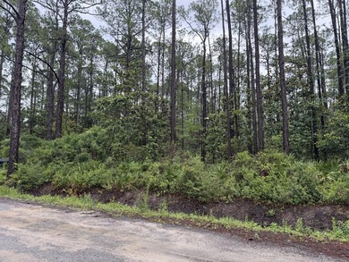 Build Your Florida Dream in Santa Rosa Beach! Situated on a - photo 1