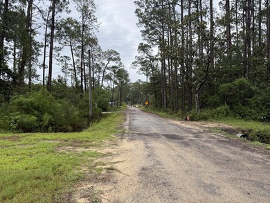 Build Your Florida Dream in Santa Rosa Beach! Situated on a - photo 2