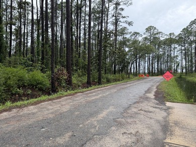 Build Your Florida Dream in Santa Rosa Beach! Situated on a - photo 3