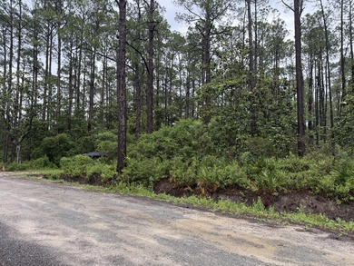 Build Your Florida Dream in Santa Rosa Beach! Situated on a - photo 4