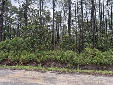 Build Your Florida Dream in Santa Rosa Beach! Situated on a - photo 5