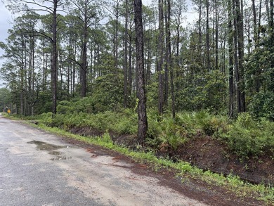 Build Your Florida Dream in Santa Rosa Beach! Situated on a - photo 6