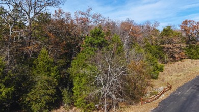Lot 131 Lincoln Drive - photo 13