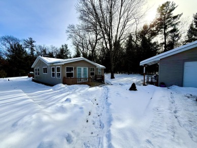 Lake Home For Sale in Baldwin, Michigan