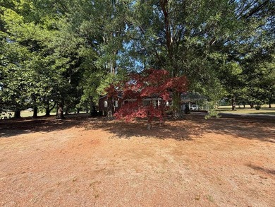 Rare opportunity to own this spacious, beautifully updated brick - photo 50