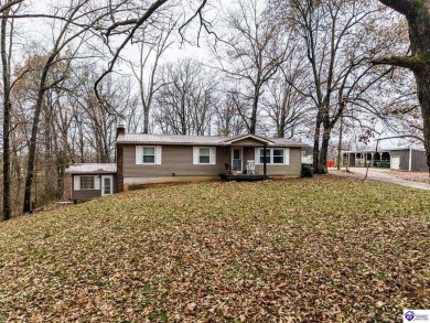 Lake Home For Sale in Vine Grove, Kentucky