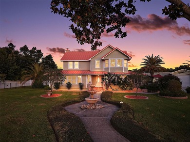 Bay Lake - Osceola County Home For Sale in Eustis Florida