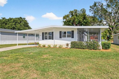 Lake Frances - Lake County Home For Sale in Tavares Florida