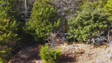 Lot 131 Lincoln Drive - photo 10