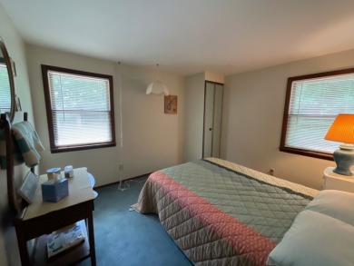 Raccoon Lake, Lakefront, Lakeview, Chalet - photo 20