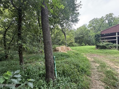 20 Acres at Shoal Creek and Spring River confluence - photo 11