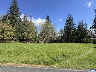 Water & Mt View Lot on Bell Hill For $160K! Enjoy this easy to - photo 11