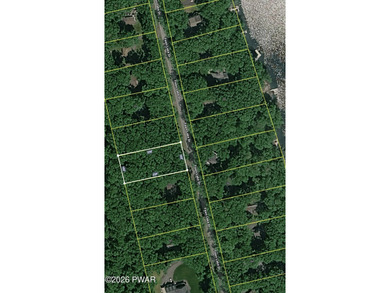Fawn Lake Forest Lake View Land! What's the next best thing to - photo 11