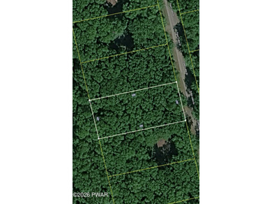Fawn Lake Forest Lake View Land! What's the next best thing to - photo 12