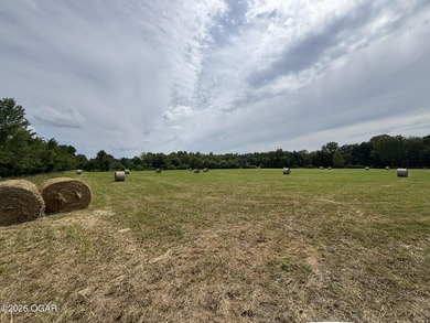 20 Acres at Shoal Creek and Spring River confluence - photo 13