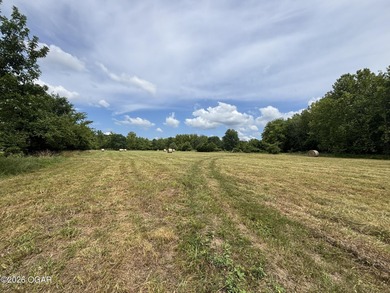 20 Acres at Shoal Creek and Spring River confluence - photo 14