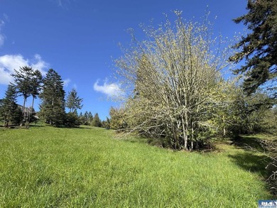 Water & Mt View Lot on Bell Hill For $160K! Enjoy this easy to - photo 14
