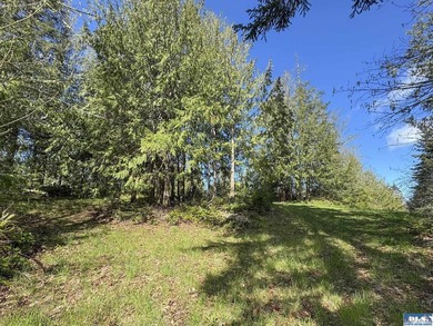 Water & Mt View Lot on Bell Hill For $160K! Enjoy this easy to - photo 15