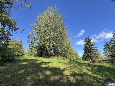 Water & Mt View Lot on Bell Hill For $160K! Enjoy this easy to - photo 17