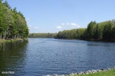 Fawn Lake Forest Lake View Land! What's the next best thing to - photo 17