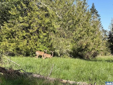 Water & Mt View Lot on Bell Hill For $160K! Enjoy this easy to - photo 18