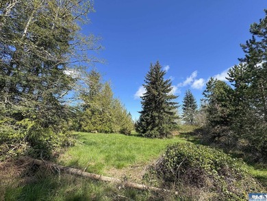 Water & Mt View Lot on Bell Hill For $160K! Enjoy this easy to - photo 20