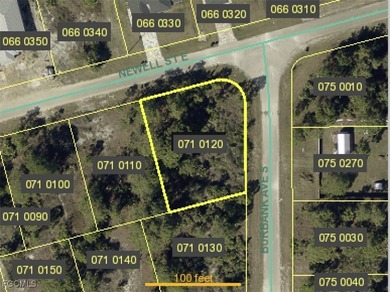 Lehigh Acres Area Lot For Sale in Lehigh Acres Florida