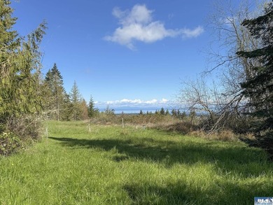 Water & Mt View Lot on Bell Hill For $160K! Enjoy this easy to - photo 23