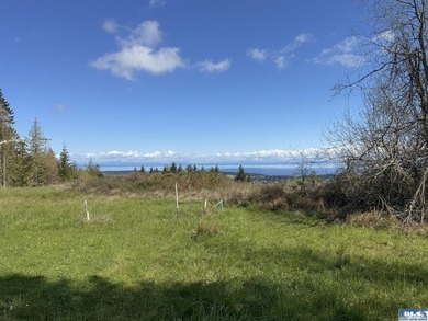 Water & Mt View Lot on Bell Hill For $160K! Enjoy this easy to - photo 24