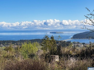Water & Mt View Lot on Bell Hill For $160K! Enjoy this easy to - photo 26