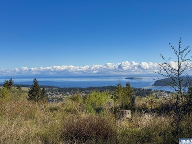 Water & Mt View Lot on Bell Hill For $160K! Enjoy this easy to - photo 27