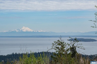 Water & Mt View Lot on Bell Hill For $160K! Enjoy this easy to - photo 28
