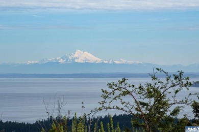 Water & Mt View Lot on Bell Hill For $160K! Enjoy this easy to - photo 29