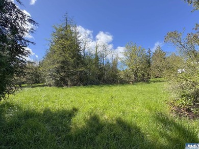 Water & Mt View Lot on Bell Hill For $160K! Enjoy this easy to - photo 31