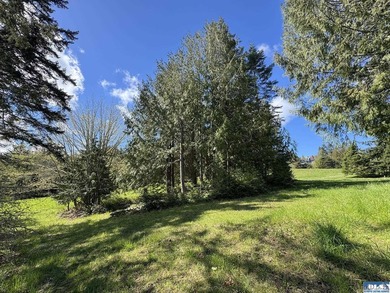 Water & Mt View Lot on Bell Hill For $160K! Enjoy this easy to - photo 32