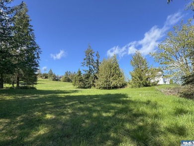 Water & Mt View Lot on Bell Hill For $160K! Enjoy this easy to - photo 33