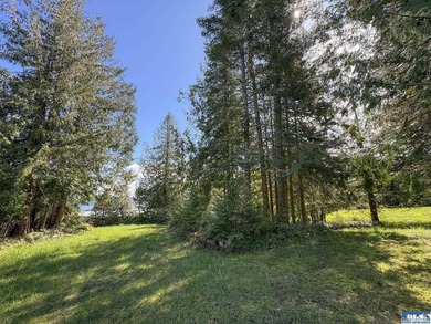 Water & Mt View Lot on Bell Hill For $160K! Enjoy this easy to - photo 34