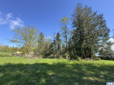 Water & Mt View Lot on Bell Hill For $160K! Enjoy this easy to - photo 35