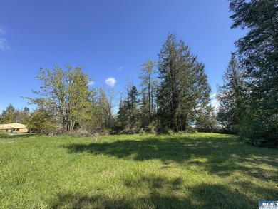 Water & Mt View Lot on Bell Hill For $160K! Enjoy this easy to - photo 36