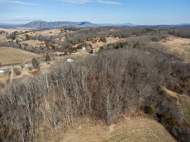 Beautiful 8.8-acre property offering the perfect opportunity for - photo 7
