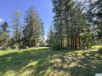 Water & Mt View Lot on Bell Hill For $160K! Enjoy this easy to - photo 38